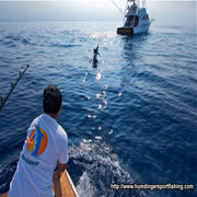 Enjoy Kona Deep Sea Fishing